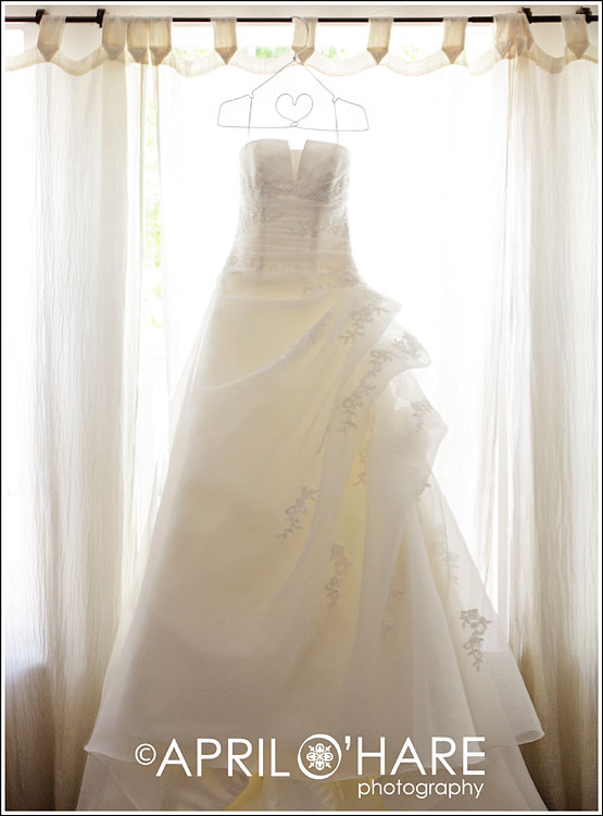 Pronovias Dress hanging in a window with backlight