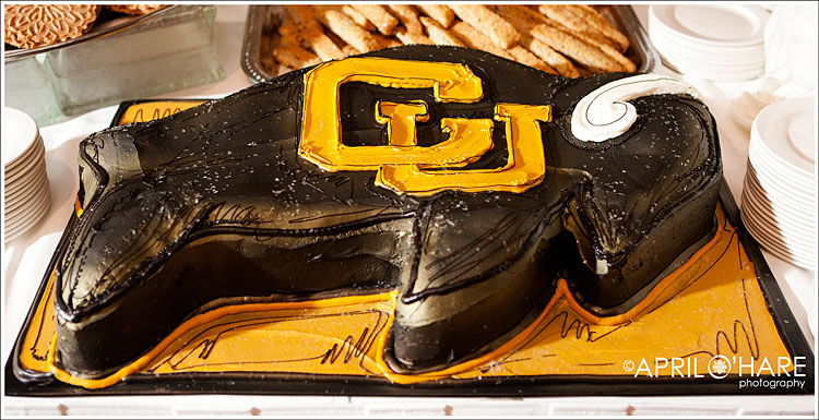 CU Boulder Football Buffalo Grooms Cake